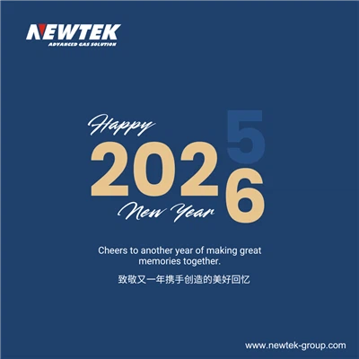 NEWTEK Group Discorso di Capodanno 2026: Avanzamento delle soluzioni gas nell...